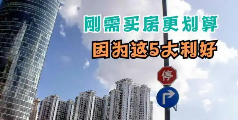 67315ef54c637.png