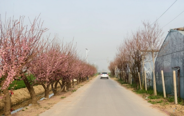 67ea503102274.jpg